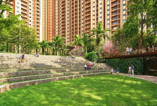 Organic Farming Area